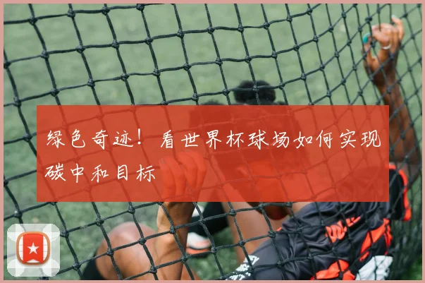 绿色奇迹！看世界杯球场如何实现碳中和目标