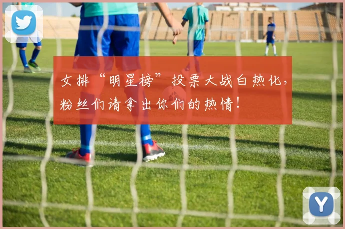 女排“明星榜”投票大战白热化，粉丝们请拿出你们的热情！