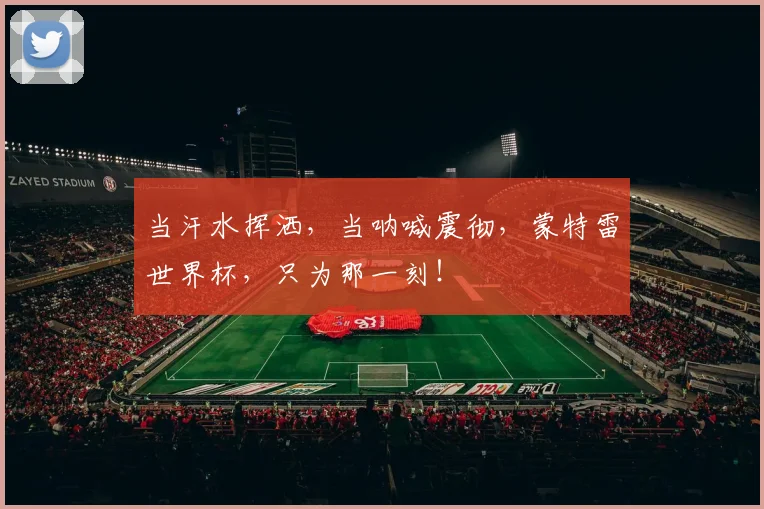 当汗水挥洒，当呐喊震彻，蒙特雷世界杯，只为那一刻！
